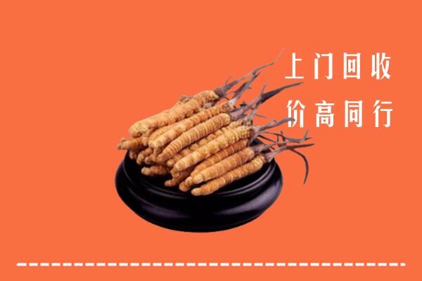 高价求购：丽水市云和县回收散虫草
