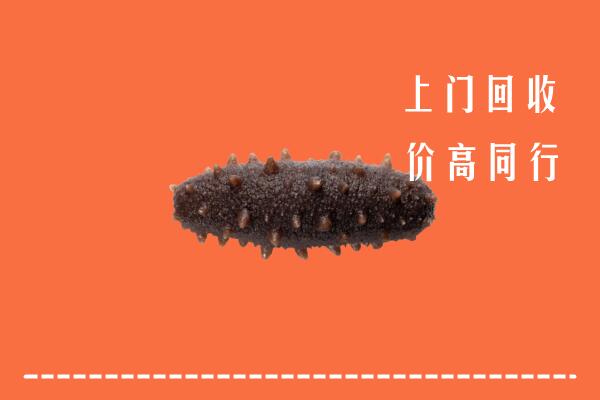 高价求购：丽水市云和县回收海参