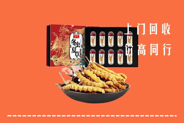 丽水市云和县回收虫草